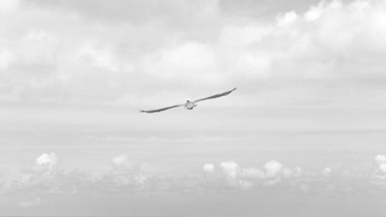 Cómo elegir la mejor agencia de diseño web para tu pyme